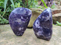Polished Silver Leaf Lepidolite Standing Free Forms x 2 From Zimbabwe