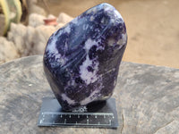 Polished Silver Leaf Lepidolite Standing Free Forms x 2 From Zimbabwe
