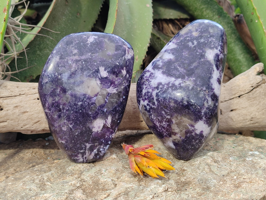 Polished Silver Leaf Lepidolite Standing Free Forms x 2 From Zimbabwe - Toprock Gemstones and Minerals 