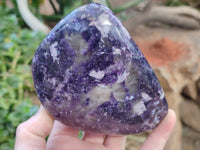 Polished Silver Leaf Lepidolite Standing Free Forms x 2 From Zimbabwe