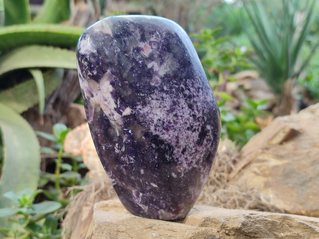 Polished Silver Leaf Lepidolite Standing Free Forms x 2 From Zimbabwe - Toprock Gemstones and Minerals 