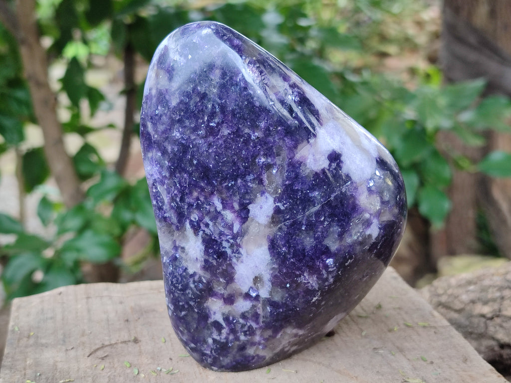 Polished Silver Leaf Lepidolite Standing Free Forms x 2 From Zimbabwe - Toprock Gemstones and Minerals 