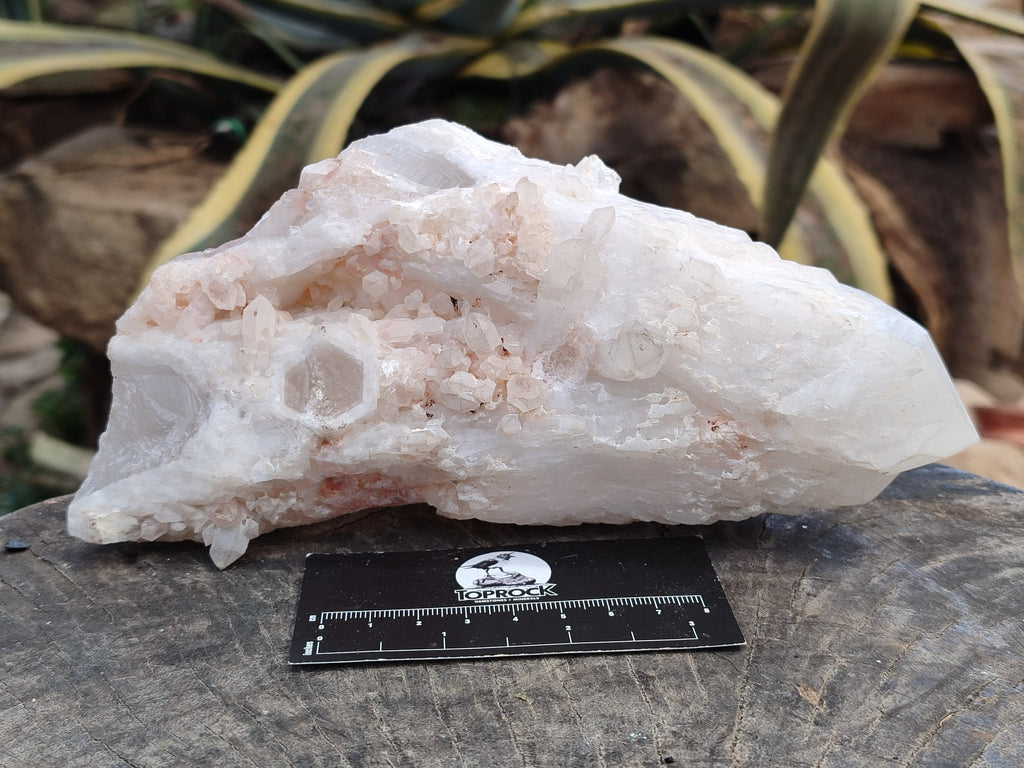 Natural Cascading White Candle Quartz Clusters x 2 From Madagascar - Toprock Gemstones and Minerals 