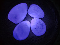 Polished Fluorescent Green Fluorite Standing Free Forms x 4 From Madagascar