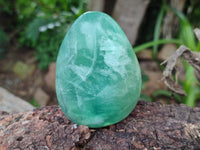 Polished Fluorescent Green Fluorite Standing Free Forms x 4 From Madagascar