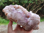 Natural Jacaranda Amethyst Quartz Cluster x 1 From Mumbwa, Zambia - Toprock Gemstones and Minerals 