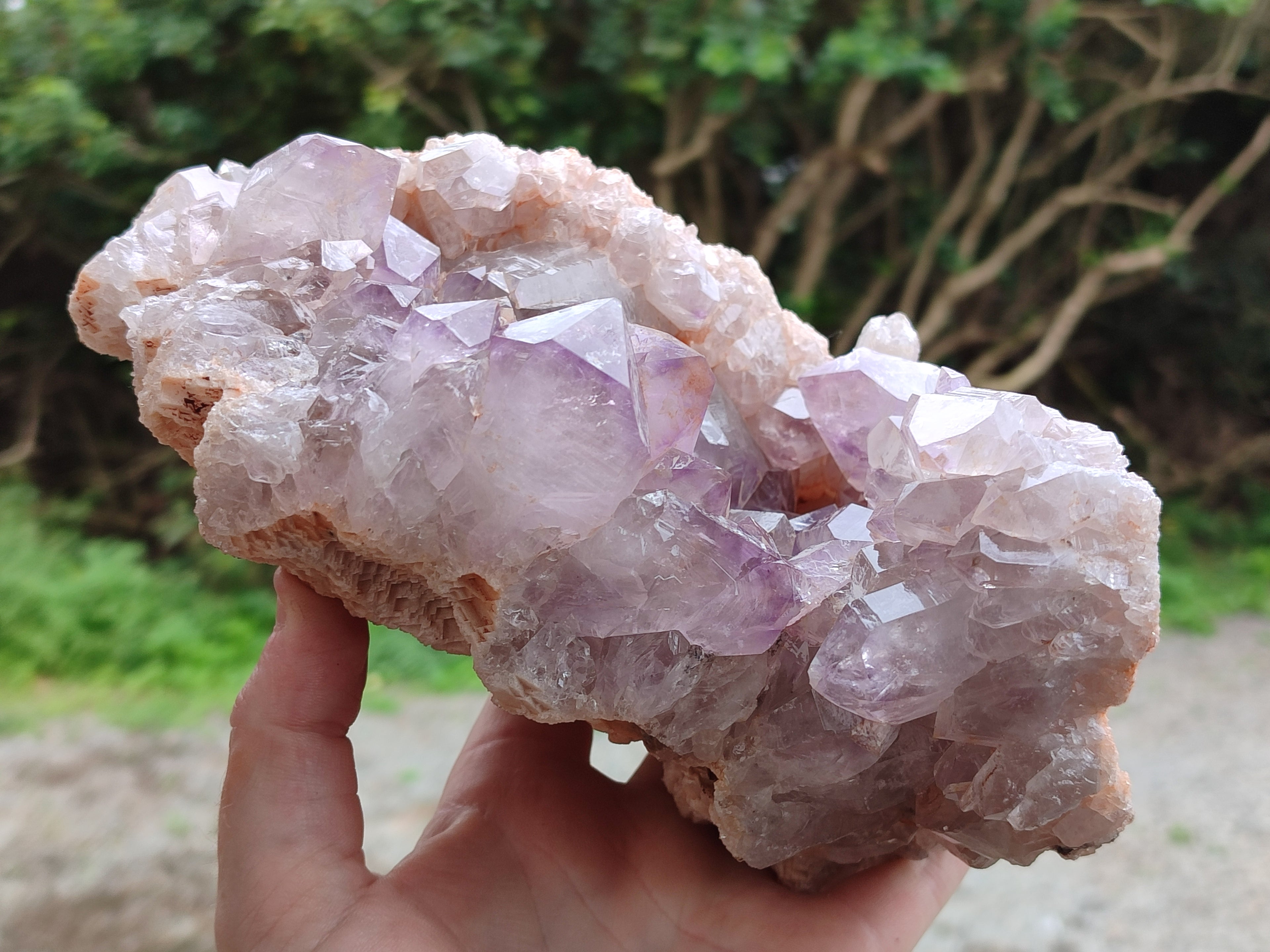 Natural Jacaranda Amethyst Quartz Cluster x 1 From Mumbwa, Zambia - Toprock Gemstones and Minerals 