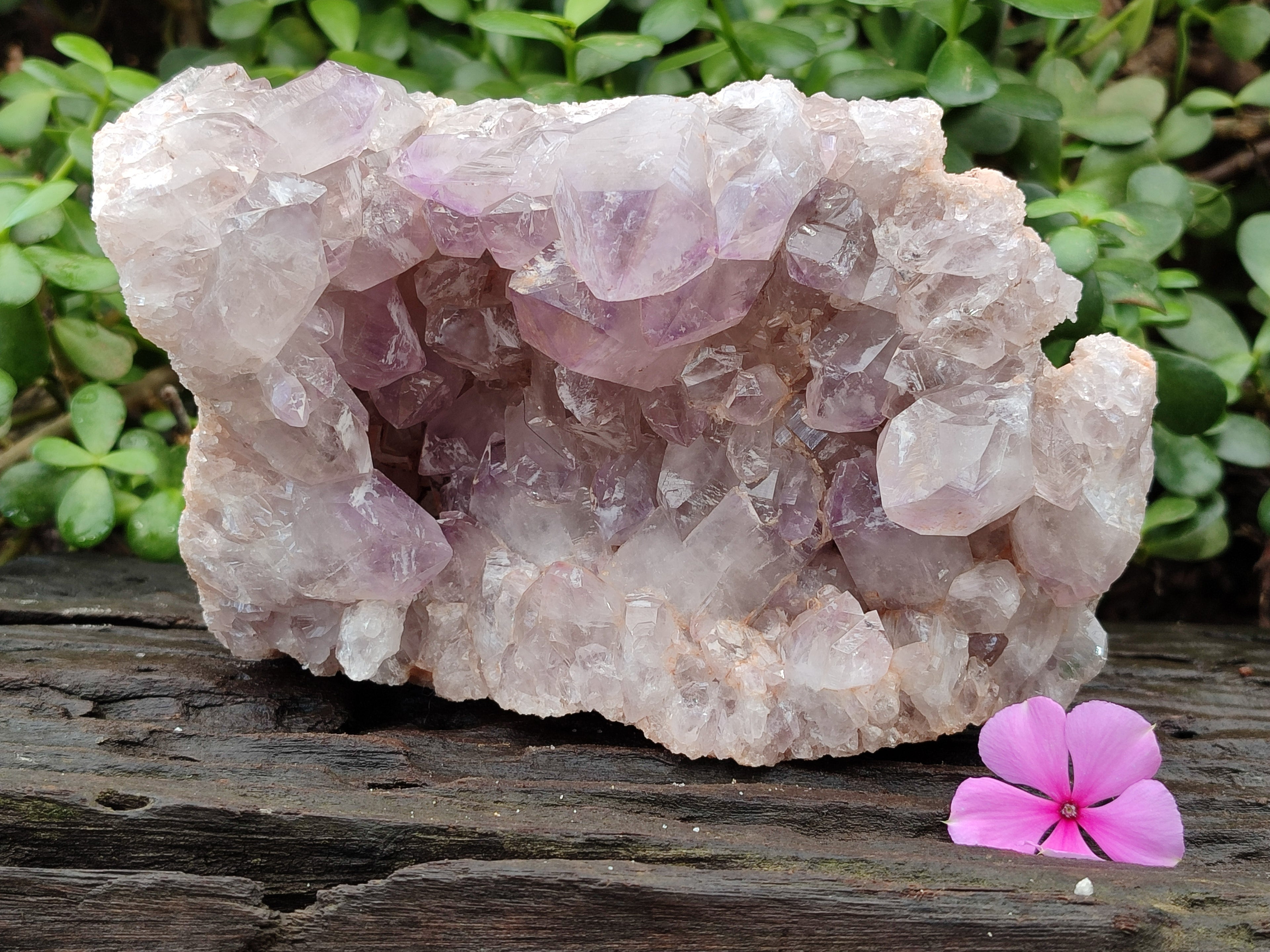 Natural Jacaranda Amethyst Quartz Cluster x 1 From Mumbwa, Zambia - Toprock Gemstones and Minerals 