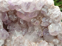 Natural Jacaranda Amethyst Quartz Cluster x 1 From Mumbwa, Zambia - Toprock Gemstones and Minerals 