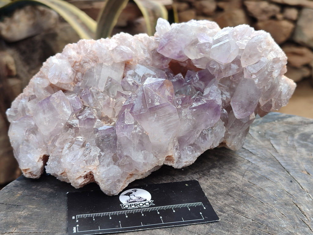 Natural Jacaranda Amethyst Quartz Cluster x 1 From Mumbwa, Zambia - Toprock Gemstones and Minerals 