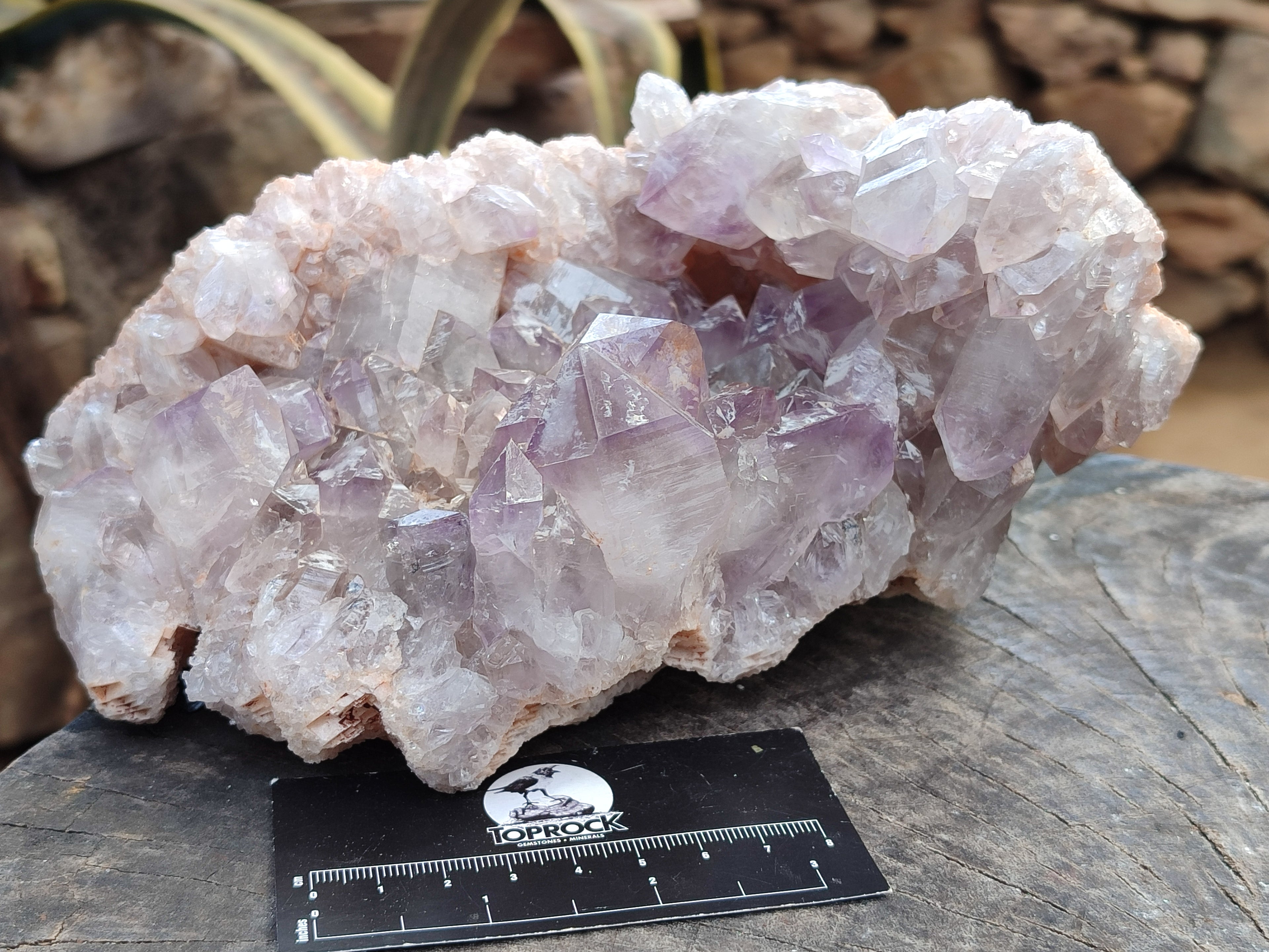 Natural Jacaranda Amethyst Quartz Cluster x 1 From Mumbwa, Zambia - Toprock Gemstones and Minerals 
