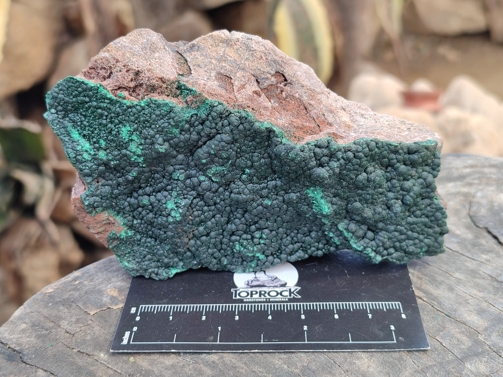 Natural Botryoidal Malachite Specimens x 4 From Tenke Fungurume, Congo - Toprock Gemstones and Minerals 