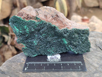 Natural Botryoidal Malachite Specimens x 4 From Tenke Fungurume, Congo - Toprock Gemstones and Minerals 