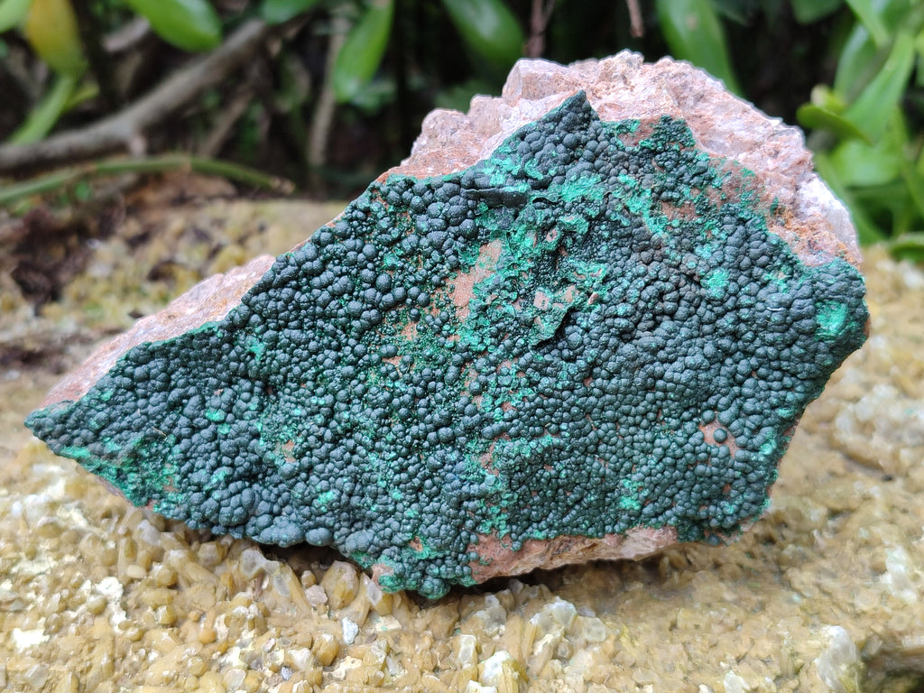 Natural Botryoidal Malachite Specimens x 4 From Tenke Fungurume, Congo - Toprock Gemstones and Minerals 