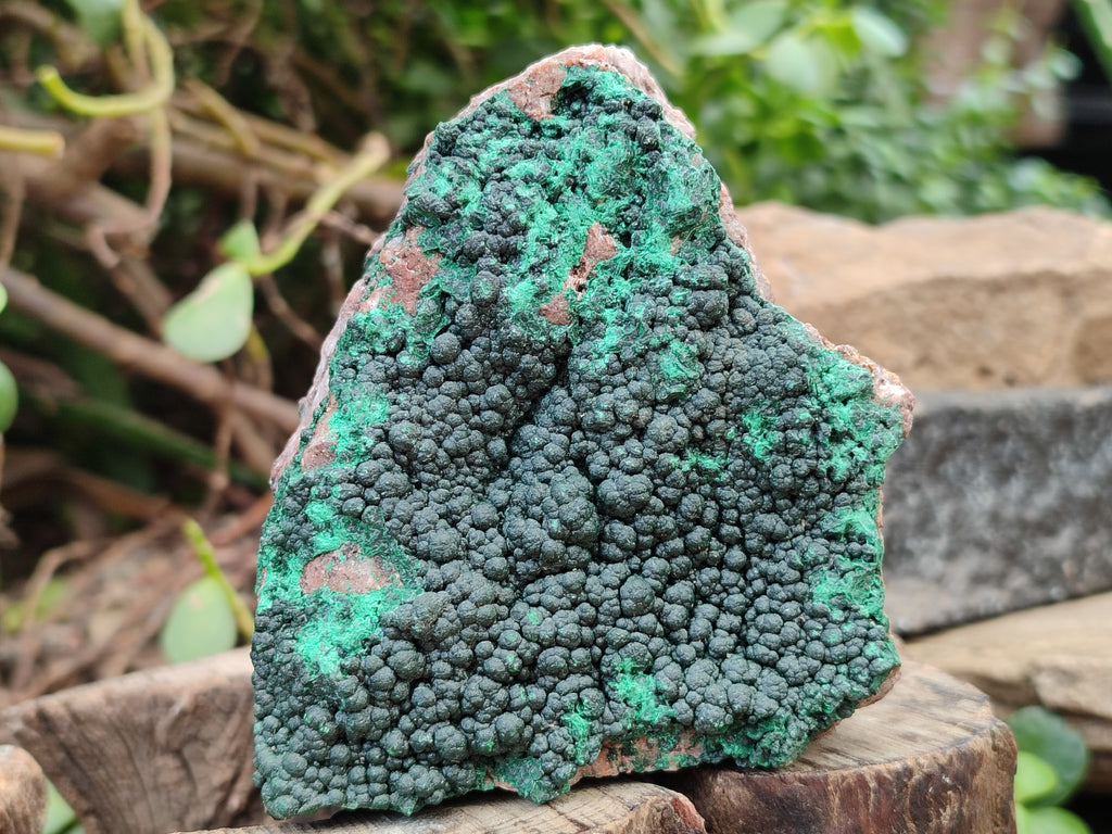 Natural Botryoidal Malachite Specimens x 4 From Tenke Fungurume, Congo - Toprock Gemstones and Minerals 