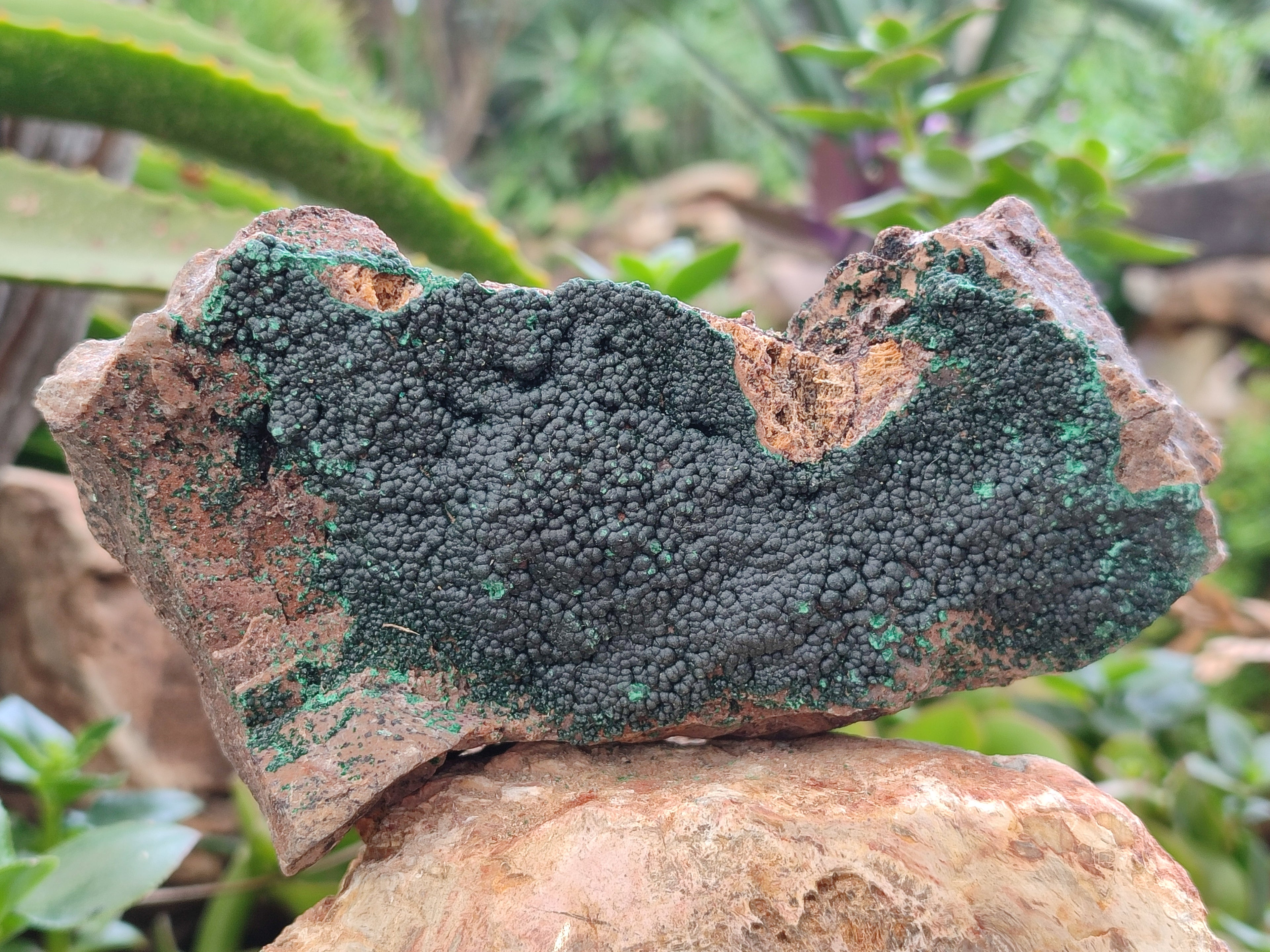 Natural Botryoidal Malachite Specimens x 4 From Tenke Fungurume, Congo - Toprock Gemstones and Minerals 