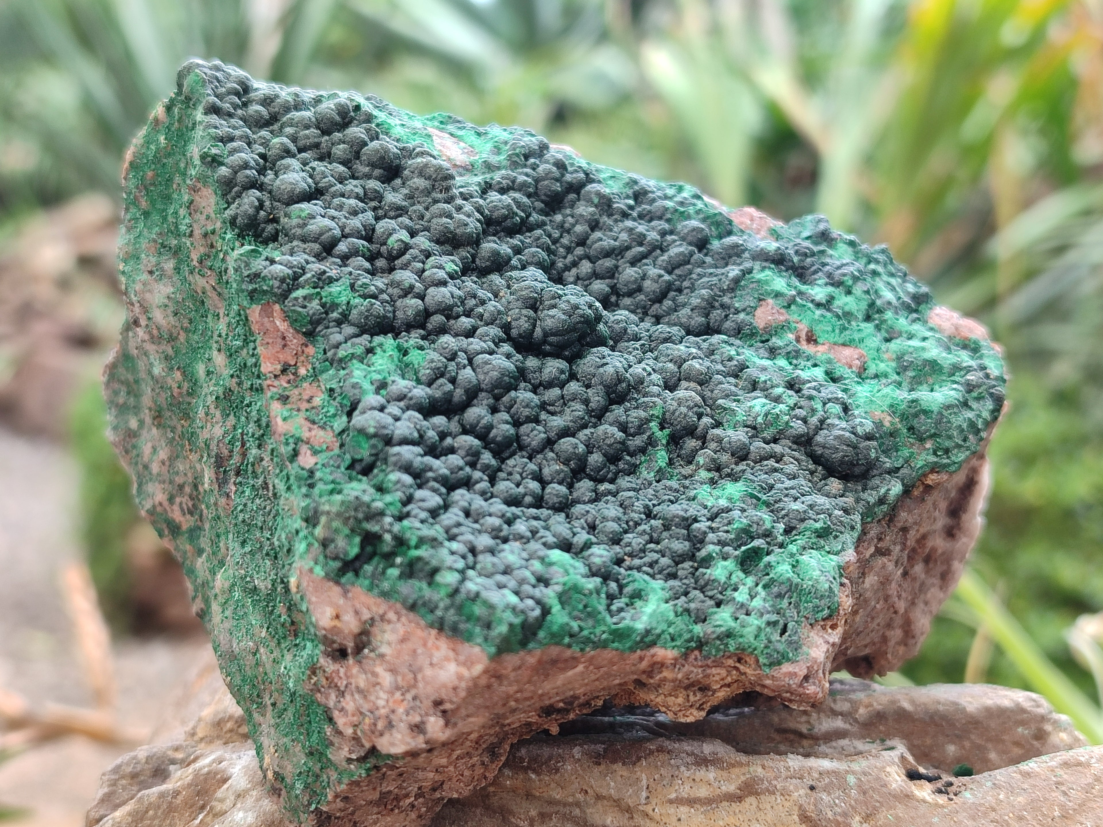 Natural Botryoidal Malachite Specimens x 4 From Tenke Fungurume, Congo - Toprock Gemstones and Minerals 