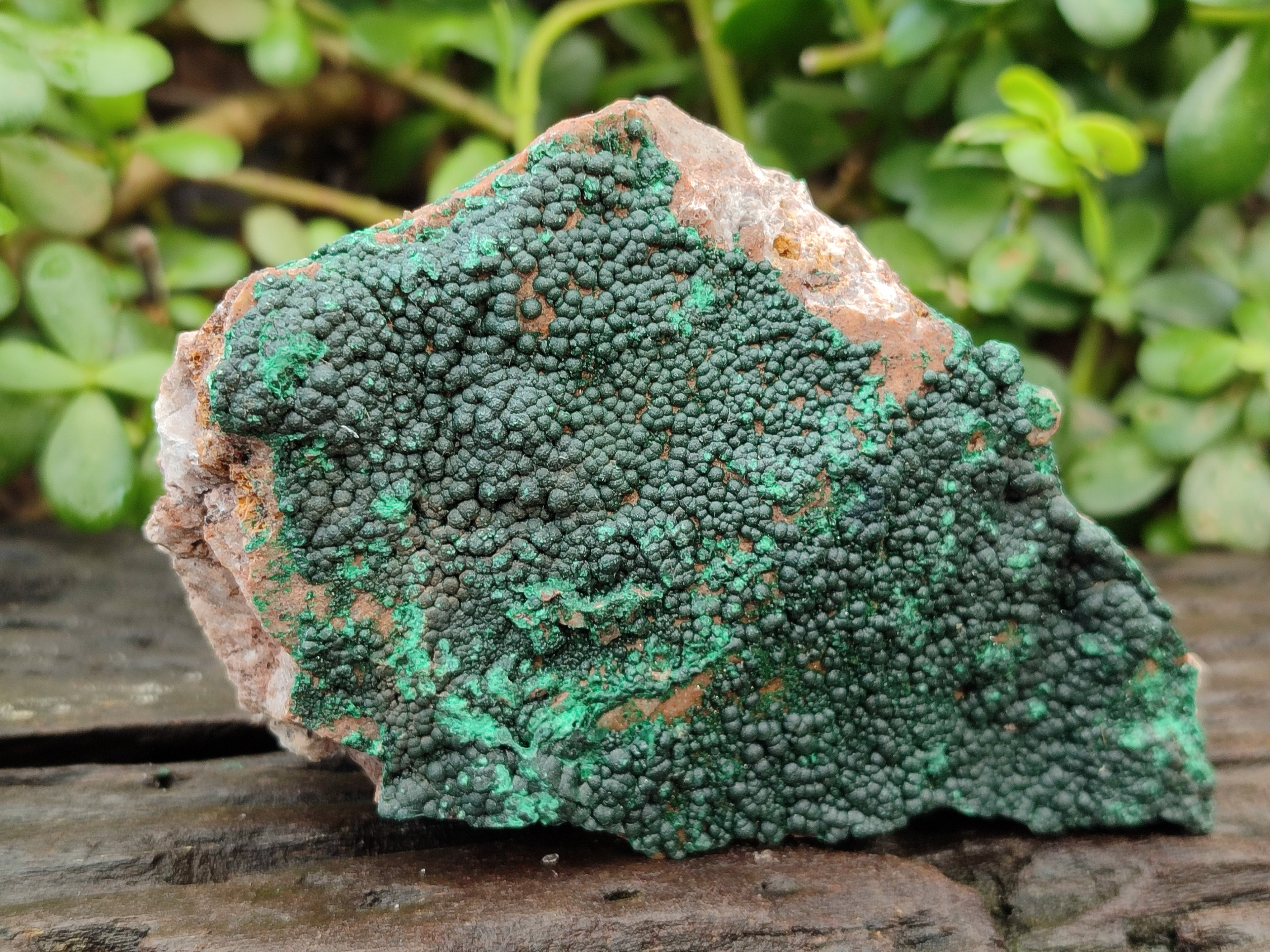 Natural Botryoidal Malachite Specimens x 4 From Tenke Fungurume, Congo - Toprock Gemstones and Minerals 