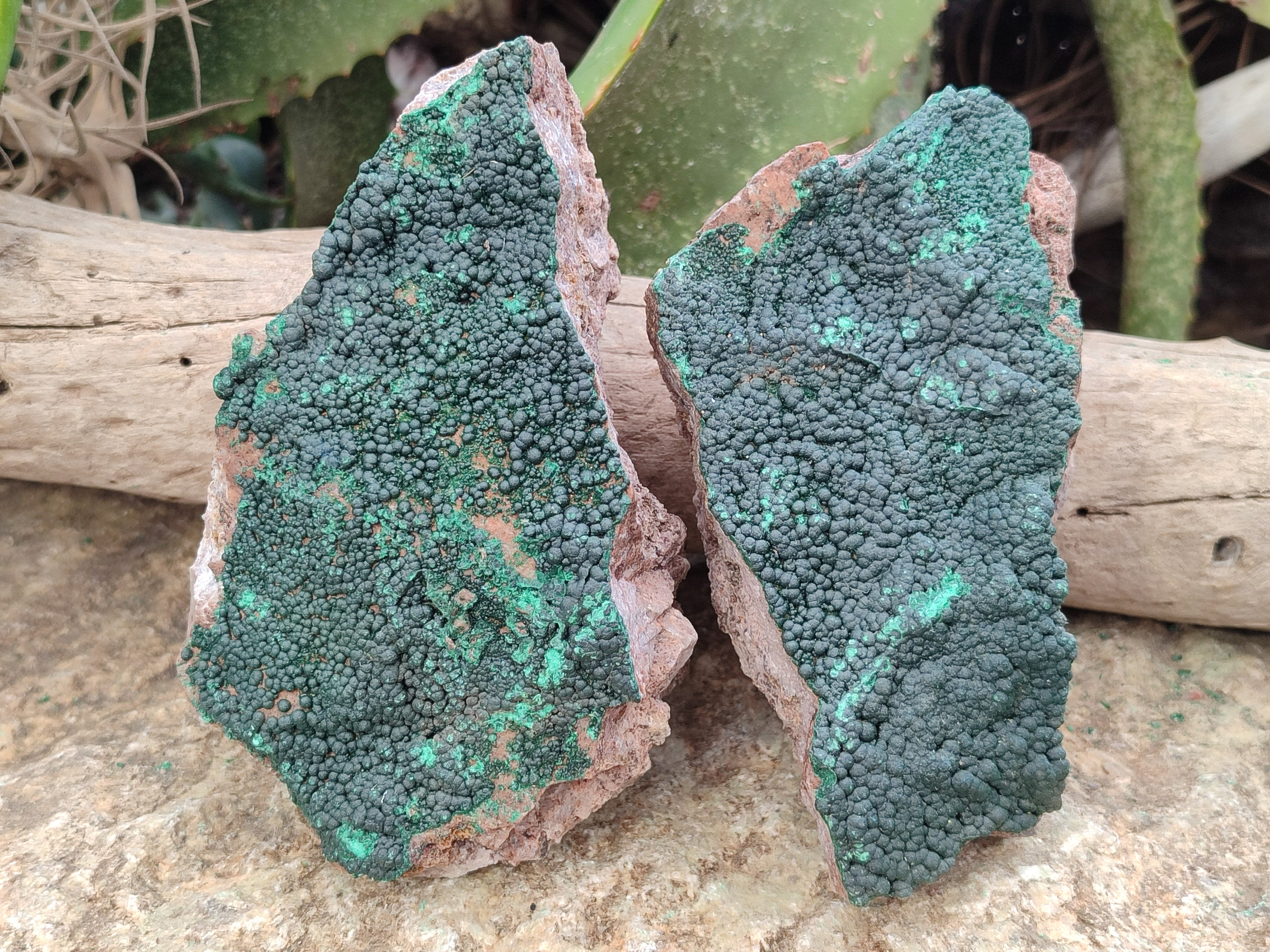 Natural Botryoidal Malachite Specimens x 4 From Tenke Fungurume, Congo - Toprock Gemstones and Minerals 
