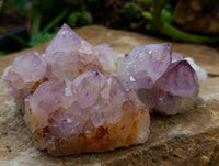 Natural Amethyst Spirit Quartz Clusters x 12 From Boekenhouthoek, South Africa