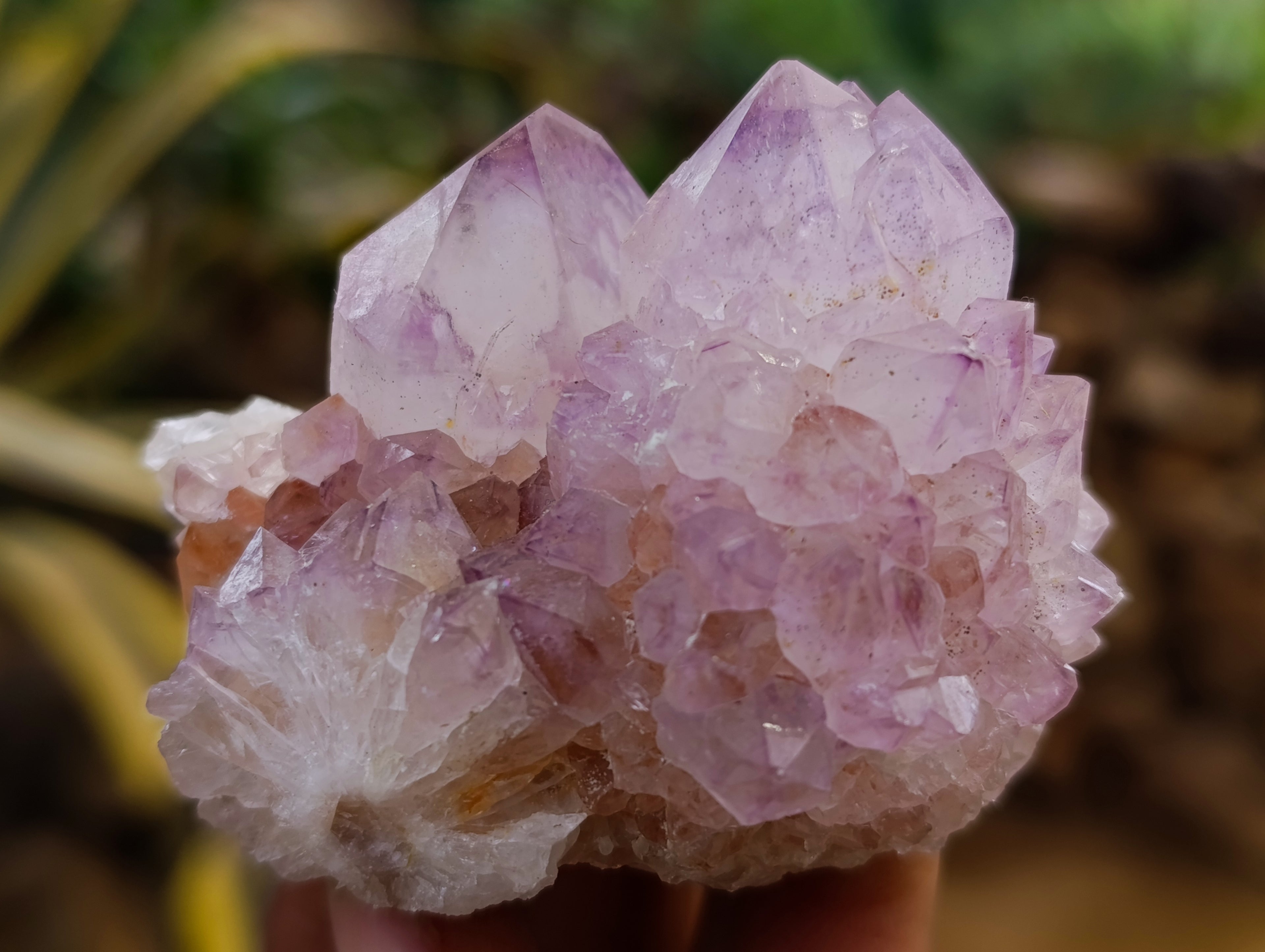 Natural Amethyst Spirit Quartz Clusters x 12 From Boekenhouthoek, South Africa - Toprock Gemstones and Minerals 