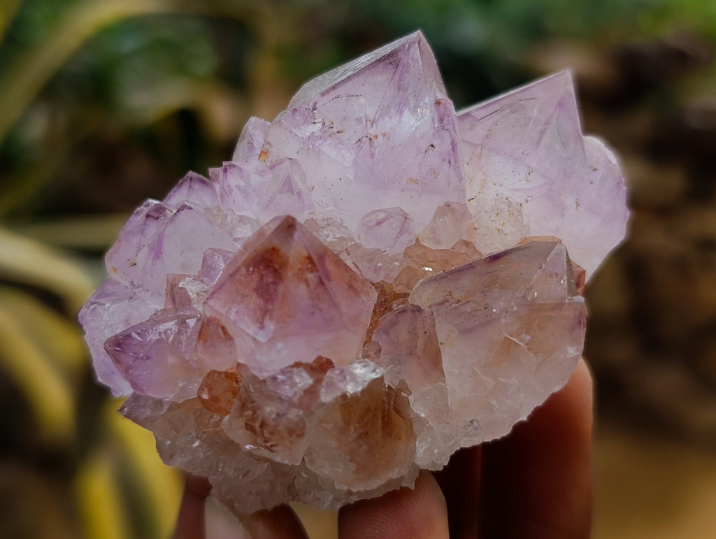 Natural Amethyst Spirit Quartz Clusters x 12 From Boekenhouthoek, South Africa - Toprock Gemstones and Minerals 