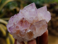 Natural Amethyst Spirit Quartz Clusters x 12 From Boekenhouthoek, South Africa