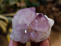 Natural Amethyst Spirit Quartz Clusters x 12 From Boekenhouthoek, South Africa