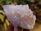 Natural Amethyst Spirit Quartz Clusters x 12 From Boekenhouthoek, South Africa - Toprock Gemstones and Minerals 