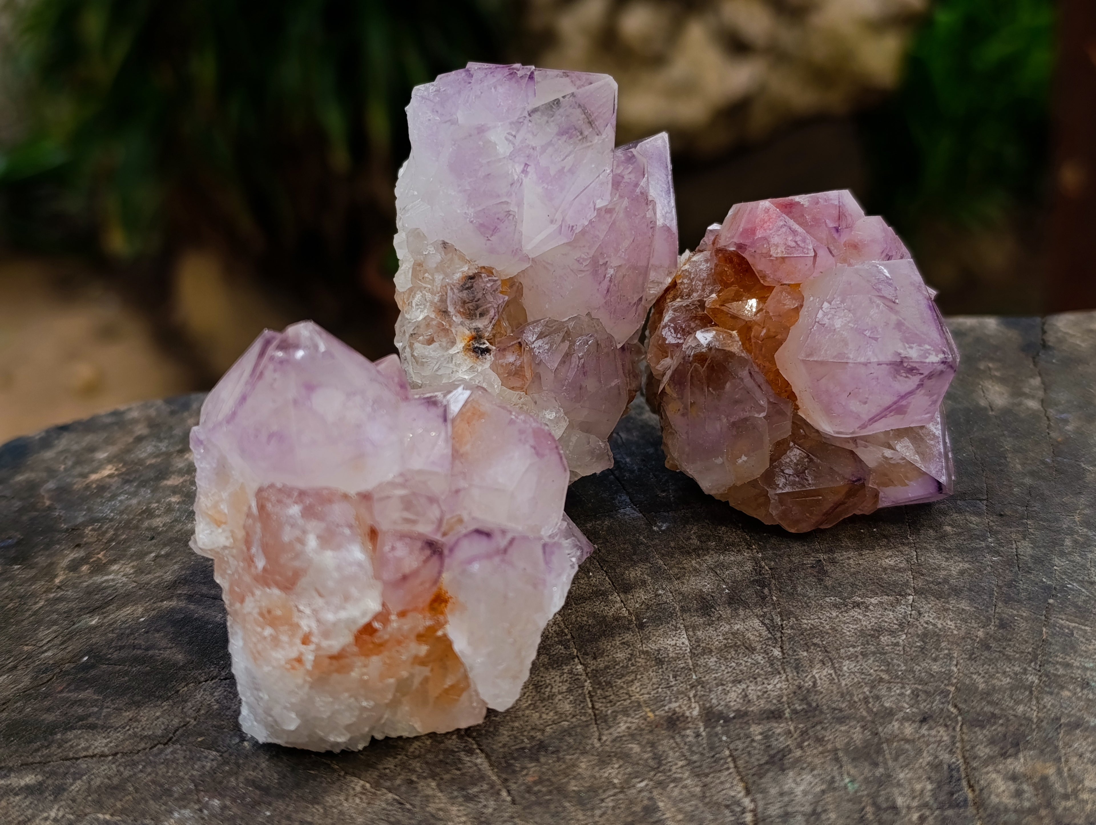 Natural Amethyst Spirit Quartz Clusters x 12 From Boekenhouthoek, South Africa - Toprock Gemstones and Minerals 