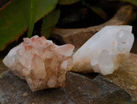 Natural Multi Terminated Quartz Crystal Clusters x 12 From Madagascar