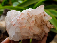 Natural Multi Terminated Quartz Crystal Clusters x 12 From Madagascar