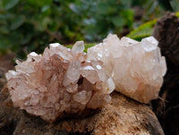 Natural Multi Terminated Quartz Crystal Clusters x 12 From Madagascar