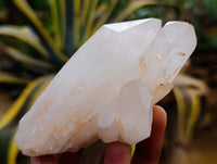 Natural Multi Terminated Quartz Crystal Clusters x 12 From Madagascar