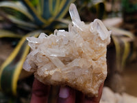 Natural Multi Terminated Quartz Crystal Clusters x 12 From Madagascar