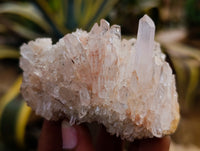 Natural Multi Terminated Quartz Crystal Clusters x 12 From Madagascar