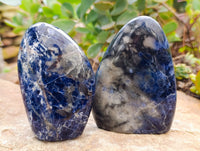 Polished Sodalite Standing Free Forms x 3 From Kunene River, Namibia - Toprock Gemstones and Minerals 