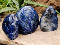 Polished Sodalite Standing Free Forms x 3 From Kunene River, Namibia - Toprock Gemstones and Minerals 