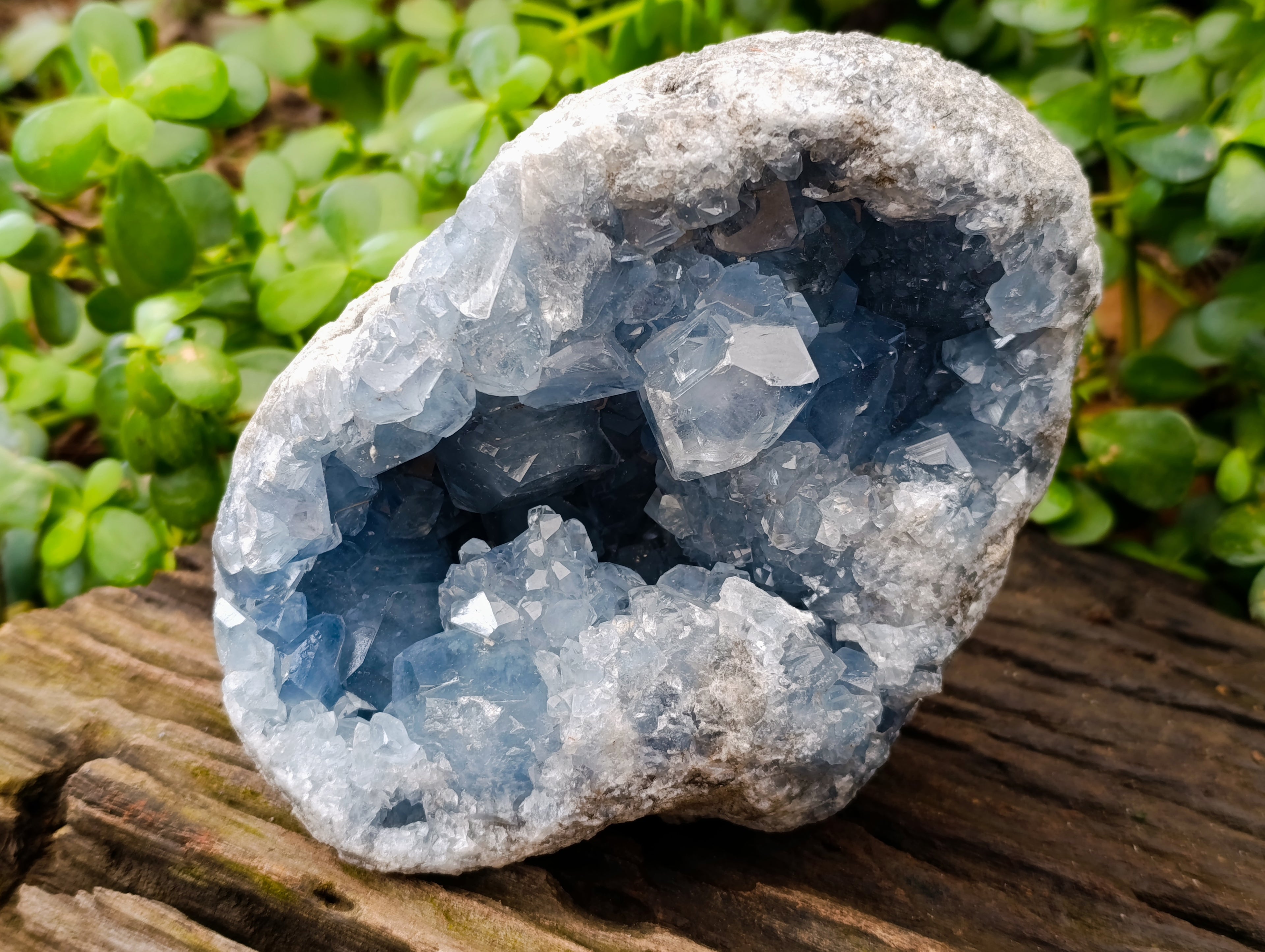 Natural Celestite Geode Specimen x 1 From Sakoany, Madagascar - Toprock Gemstones and Minerals 