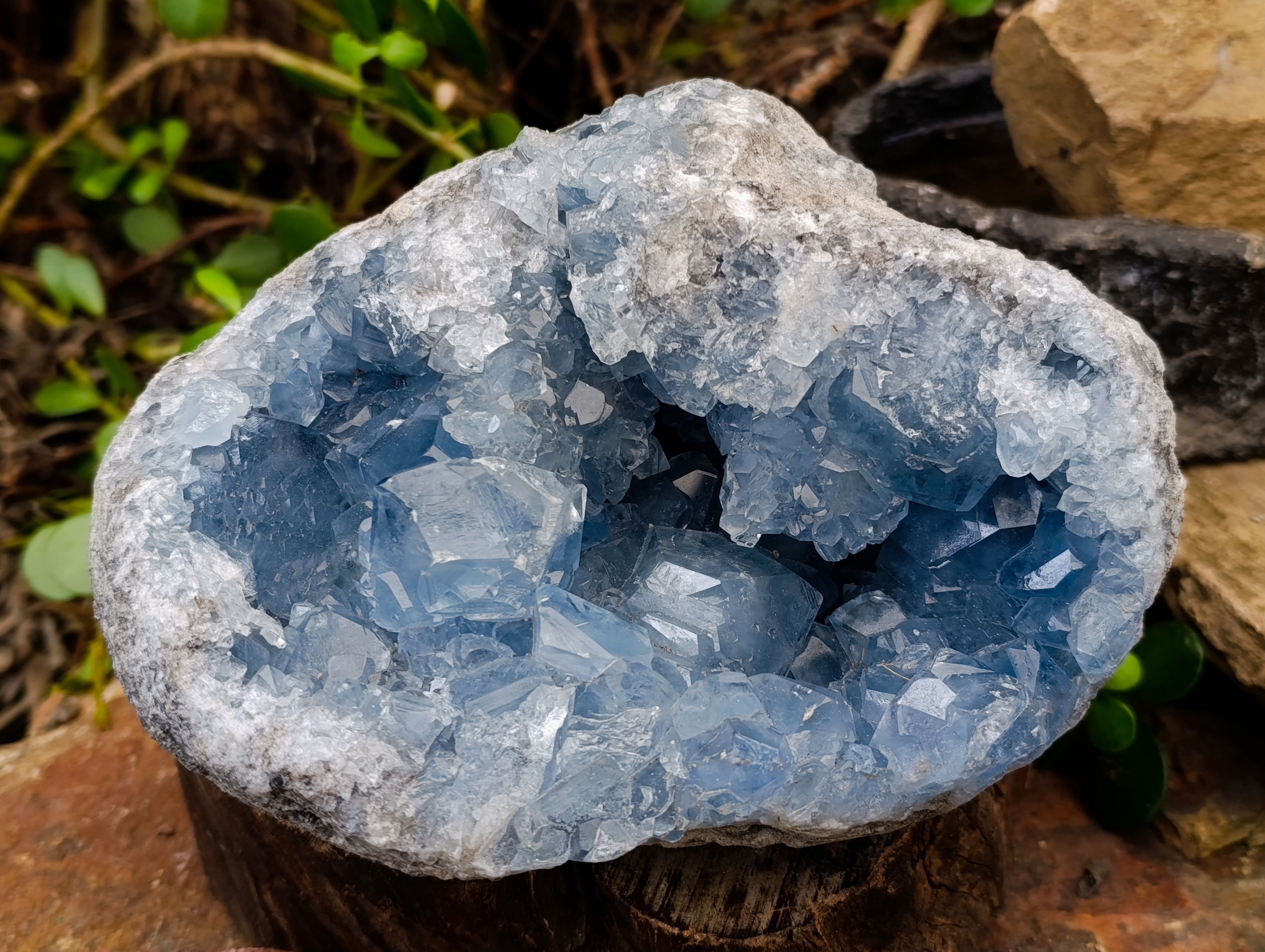 Natural Celestite Geode Specimen x 1 From Sakoany, Madagascar - Toprock Gemstones and Minerals 