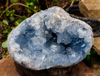 Natural Celestite Geode Specimen x 1 From Sakoany, Madagascar