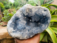 Natural Celestite Geode Specimen x 1 From Sakoany, Madagascar