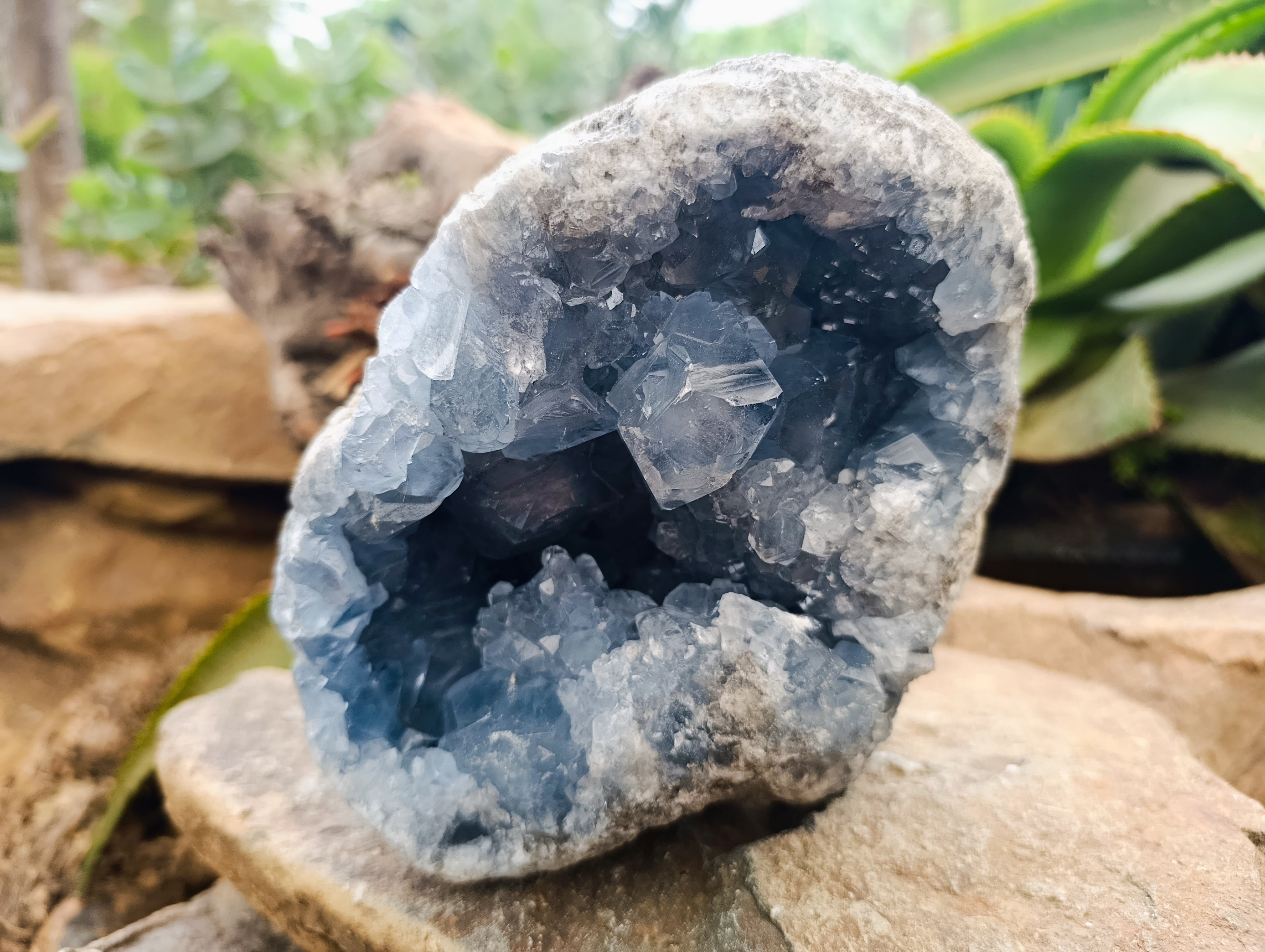 Natural Celestite Geode Specimen x 1 From Sakoany, Madagascar - Toprock Gemstones and Minerals 