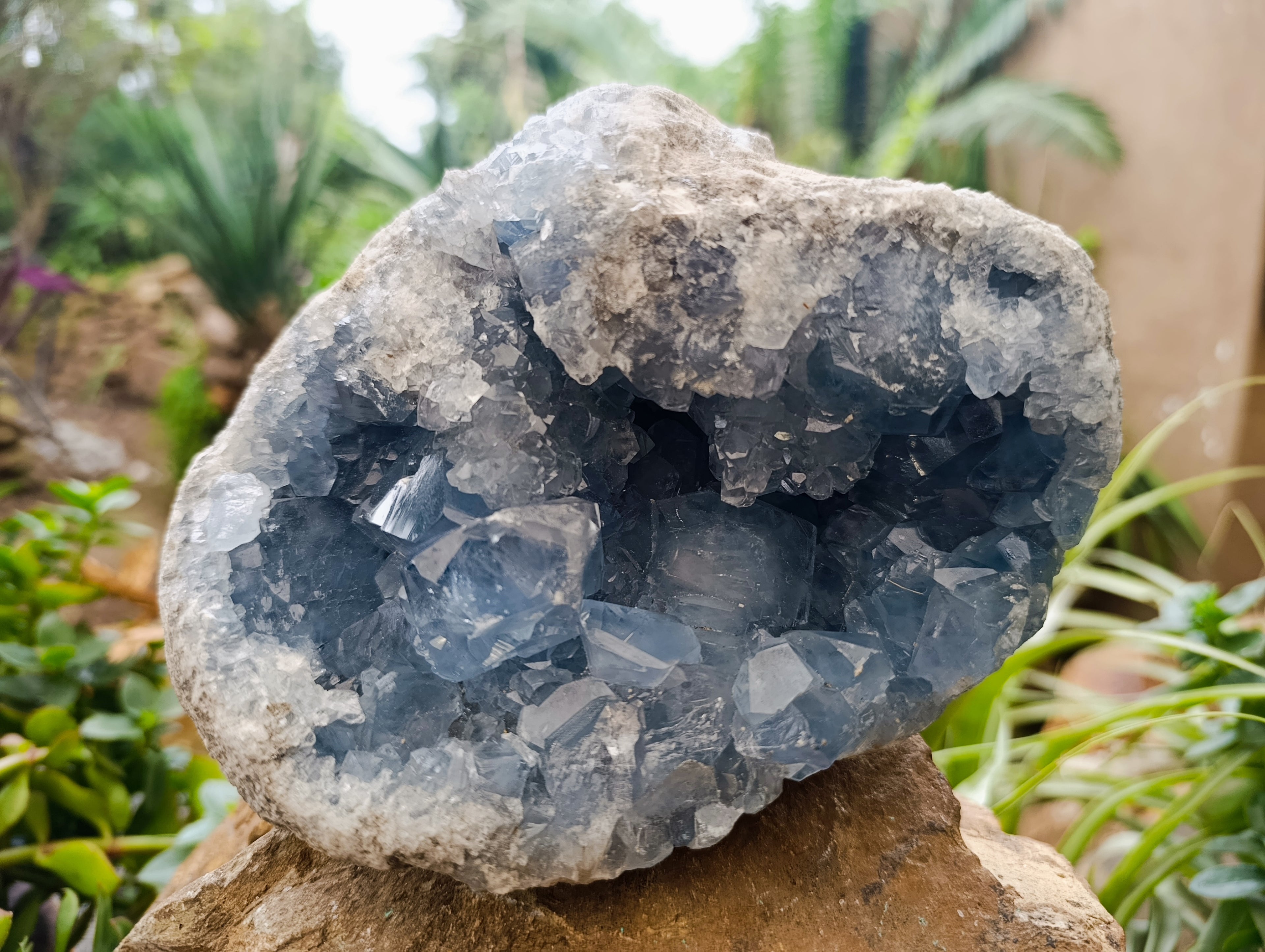 Natural Celestite Geode Specimen x 1 From Sakoany, Madagascar - Toprock Gemstones and Minerals 