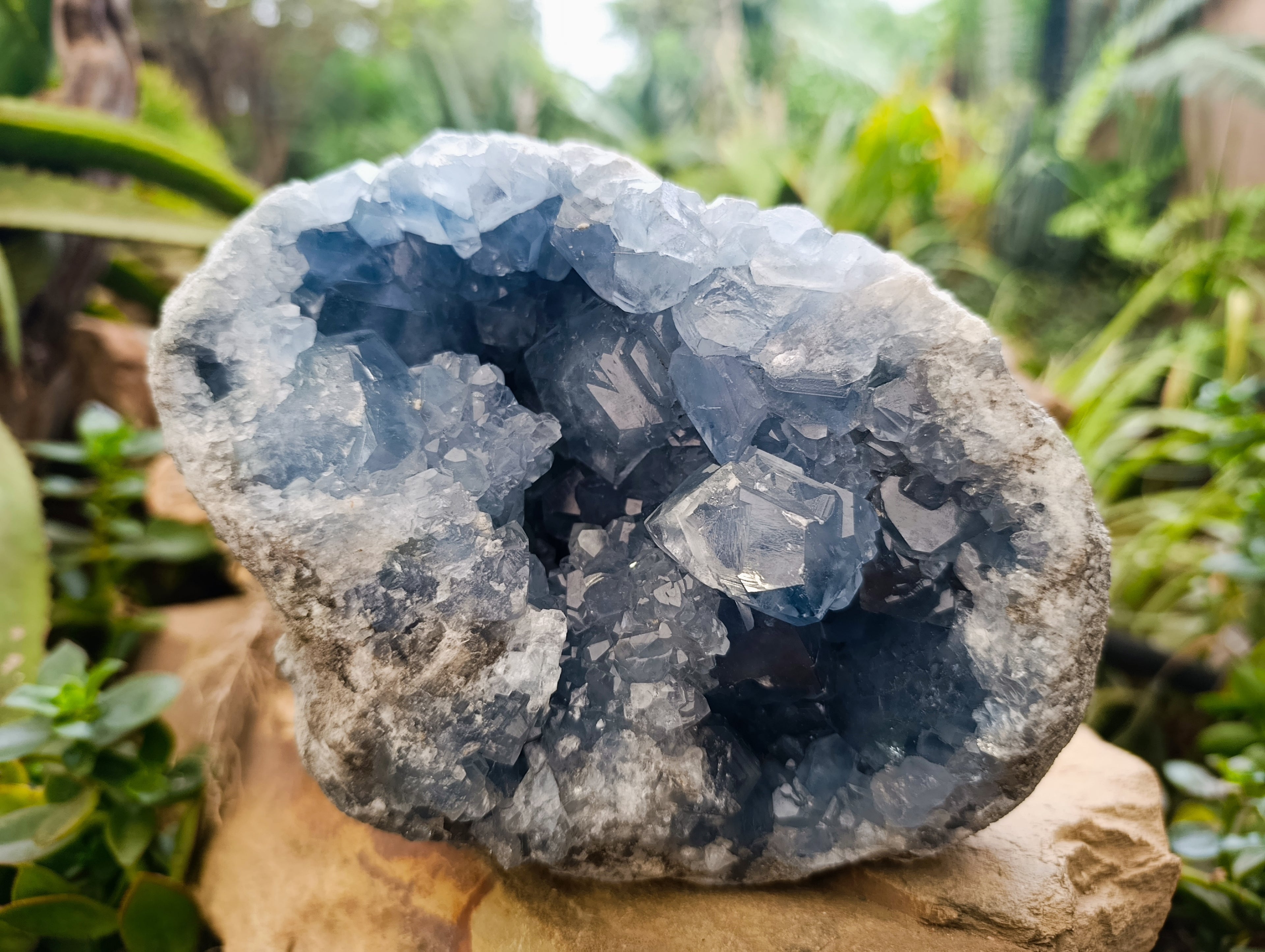 Natural Celestite Geode Specimen x 1 From Sakoany, Madagascar - Toprock Gemstones and Minerals 