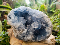 Natural Celestite Geode Specimen x 1 From Sakoany, Madagascar