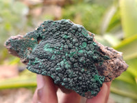 Natural Crystalline Malachite Specimens x 6 From Tenke Fungurume, Congo - Toprock Gemstones and Minerals 