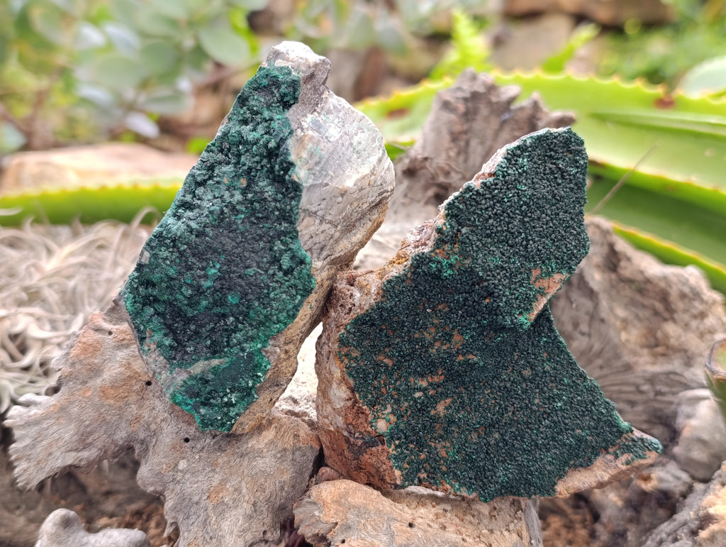 Natural Crystalline Malachite Specimens x 6 From Tenke Fungurume, Congo - Toprock Gemstones and Minerals 