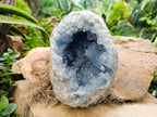 Natural Celestite Geode Specimen x 1 From Sakoany, Madagascar - Toprock Gemstones and Minerals 