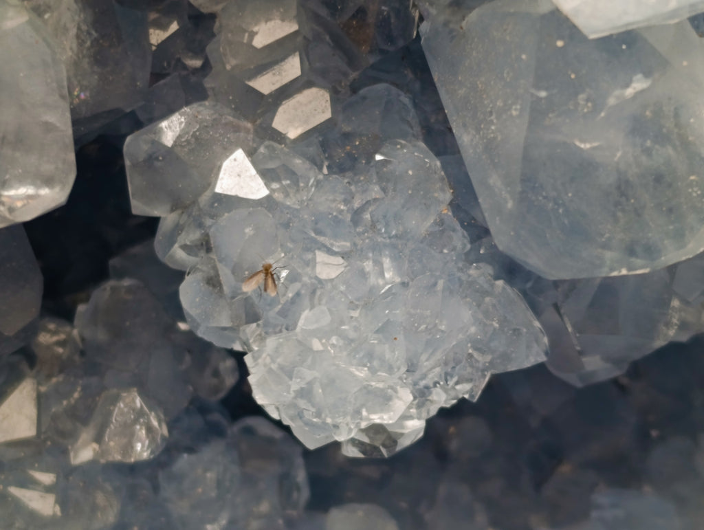 Natural Celestite Geode Specimen x 1 From Sakoany, Madagascar - Toprock Gemstones and Minerals 